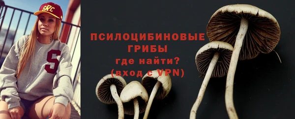 стафф Абдулино
