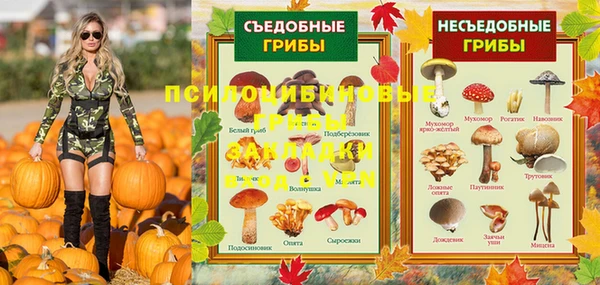 дурь Абинск