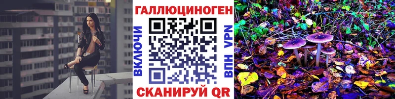 наркотики  Игарка  Галлюциногенные грибы Psilocybe 